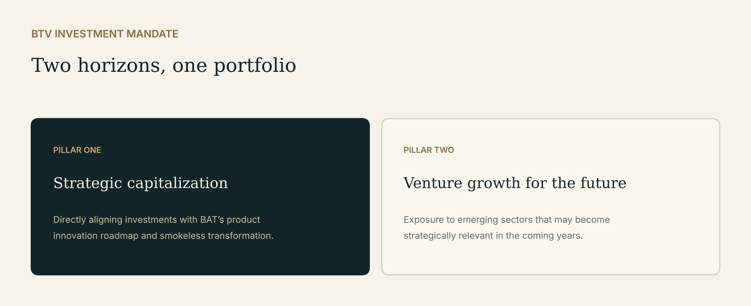 Btomorrow Ventures investment mandate: strategic capitalization and venture growth for the future